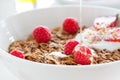 Homemade oat meal granola or muesli with fresh summer fruits Ã¢â¬â raspberry and strawberry with yogurt and honey in a white bowl Royalty Free Stock Photo